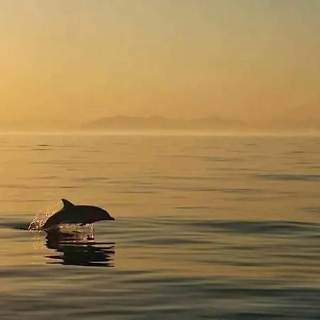 ゲストハウス Deluxe Mistral クアルトゥ・サンテーレナ