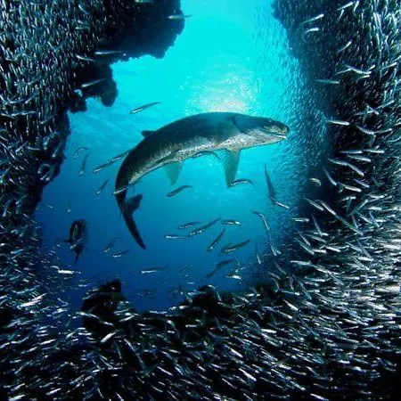 Deluxe Mistral 4* クアルトゥ・サンテーレナ